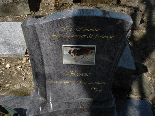 Experiencing gameplay in Phoenix Graveyard 2.